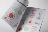 Rapport de gestion 2025